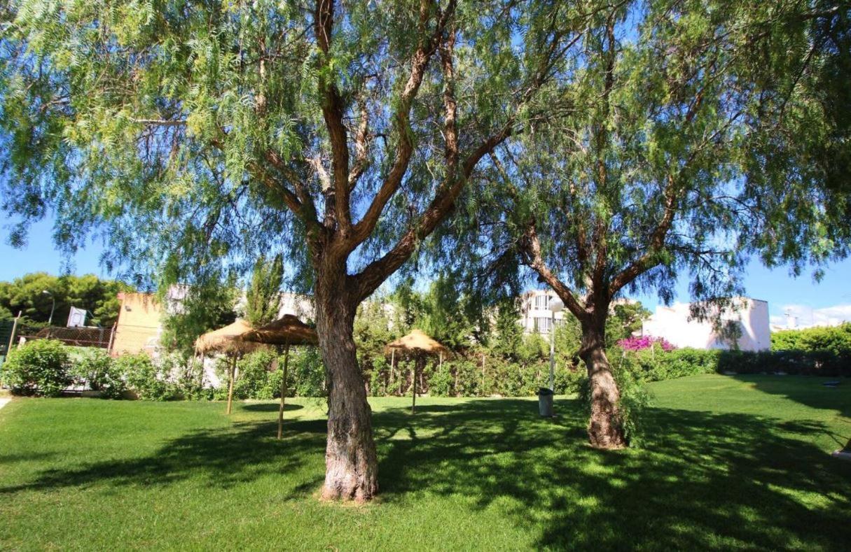 Sweetwater Home - Apartamento Ideal Para Tus Vacaciones El Campillo del Moro Eksteriør billede